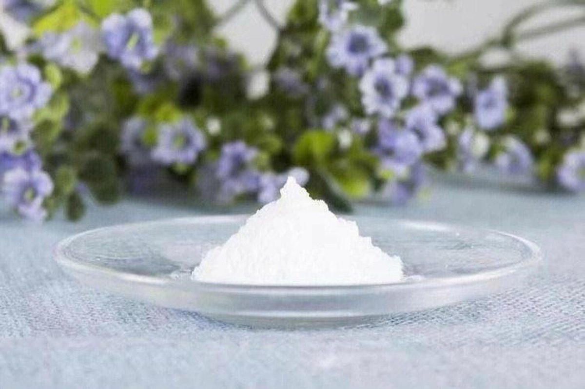 Stachyose powder — pure white fine powder